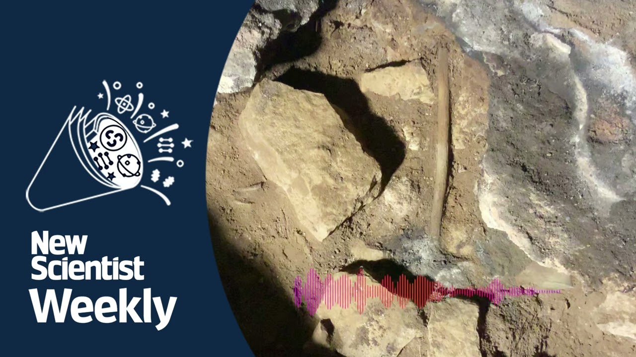 World’s Oldest Ritual | New Scientist Weekly podcast 257
