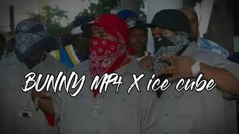 Bunny Mp4 x Ice Cube- Hello!! (dirty)
