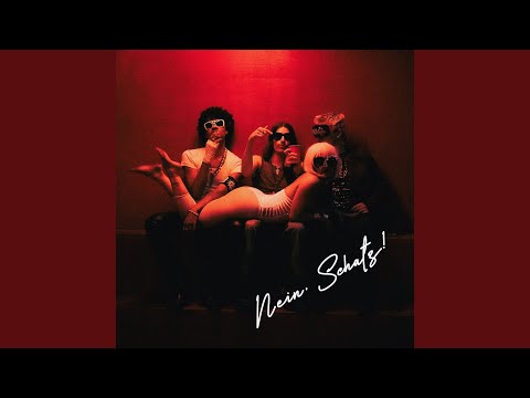 Miss Bashful, Ski Aggu & GDA - NEIN SCHATZ