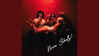 NEIN SCHATZ - Miss Bashful, Ski Aggu & GDA