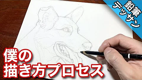 リアルな犬の描き方
