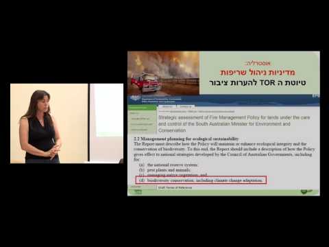 וִידֵאוֹ: האם אזור החוף הוא הזדמנות עסקית חדשה או מקום לניקוז ההון הלאומי?