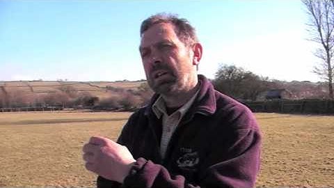 Meet Thomas Longton, Sheepdog Trainer