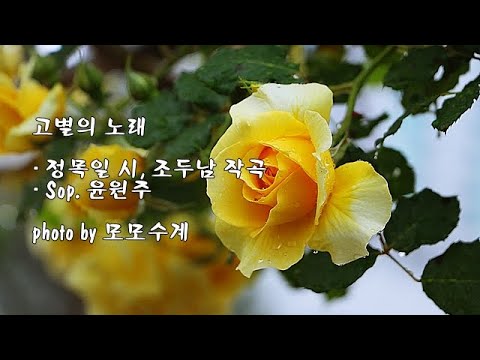 고별의 노래  / 정목일 시, 조두남 작곡 / Sop. 윤원주 &amp;amp; photo by 모모수계