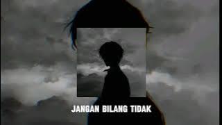 Raffi Ahmad & Ayushita - Jangan bilang tidak (speed up   reverb)