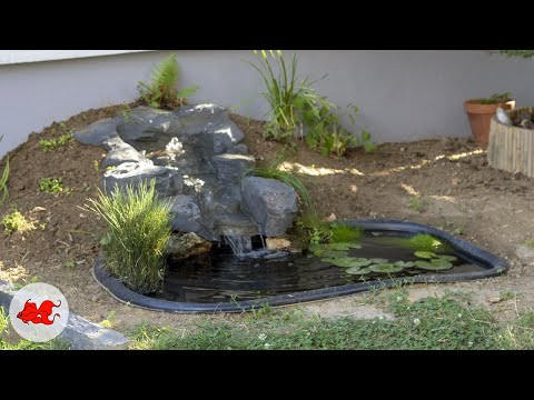 Vidéo: Capacité pour l'étang. Étang en plastique décoratif dans le pays