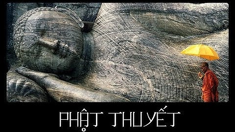 [Vietsub+pinyin] Phật thuyết (Phật nói) - Âm Tần Quái Vật | 佛说 - 音频怪物