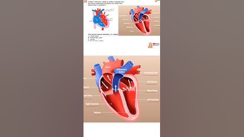 KNEC EXAMS 2025 GRADE 9 INTEGRATED SCIENCE PREDICTIONS| KNEC exams grade 8 integrated science| knec