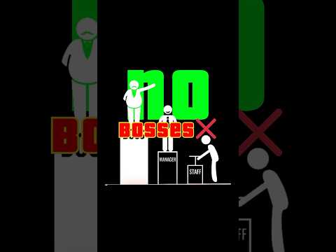 Thumbnail for Shaun Ghavami | Airbnb Coach