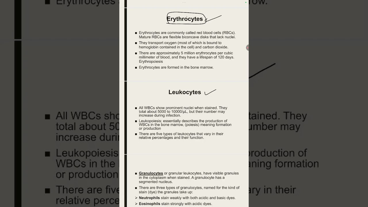 المصطلحات الطبيه المرحله الاولى