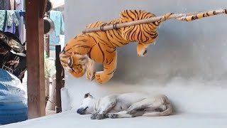 BIG TIGER TOY prank with dog Part-2 @AdalynPro screenshot 5