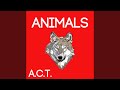 Animals 