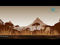 Survival Strategies of Plants and Animals in Diverse Habitats
