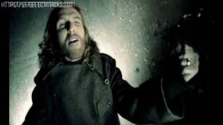 DARK TRANQUILLITY - shadow in our blood