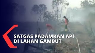 Potensi Karhutla Masih Bisa Terjadi, Presiden Jokowi: 99% Kebakaran Hutan adalah Ulah Manusia!