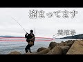 【単身赴任船長】養殖場の近くには何か居ます。