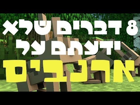 וִידֵאוֹ: איך מונעים מארנבים ללעוס דברים