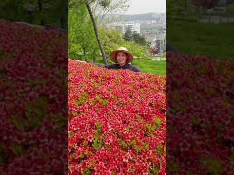lau lau nhin lai minh them tuoi nua rui hiiiii