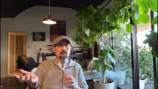 电影《彭湖海战》:汉奸与外部势力灭了大明最后一丝星火——中共为啥会被叫做“后清”的原因