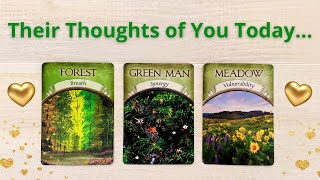 🙇🏻‍♂️WHAT ARE THEY THINKING ABOUT YOU? 🌈 PICK A CARD 💝 LOVE TAROT READING 🌷 TWIN FLAMES 👫 SOULMATES