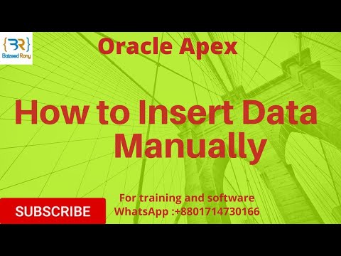 How to insert data manually in Oracle Apex