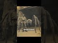 العنكبوت العملاق الحقيقي الذي أرعب المدينة قصص