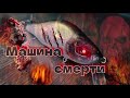 🖤 воблер - машина смерти ☠️ | 💥 самый недооценённый💥 | khamsin 105