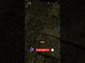 Секретный сундук торговца в The Elder Scrolls V: Skyrim #shorts