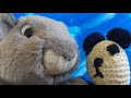 Tokyo Nights - Digital Farm Animals- Shaun Frank & Dragonette Starring Little Teddy & Squirrel