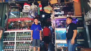 Petshop terlengkap termurah di kota Batam.Putra solo petshop Ruko Aladin no 01 Batam center.