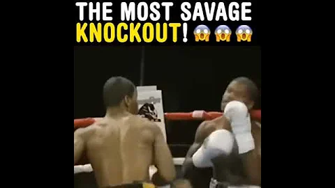 Savage Boxing KO Green vs Codrington