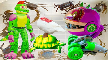 Kem Ốc Chanel bắt quái vật cá sấu, cứu con cua, con vịt, cá vàng, con rùa, chạch, lấy lại xì xì tết.