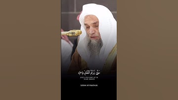 فضيلة الشيخ أ.د. فيصل غزاوي || ألهاكم التكاثر حتى زرتم المقابر || سورة التكاثر