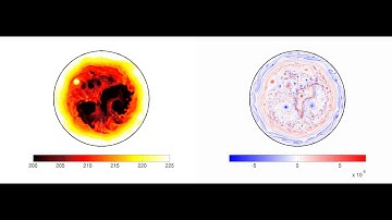 Giant planet simulation: temperature and vorticity