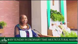 XIV Sunday In Ordinary Time ~