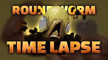 The Binding of Isaac - Round worm (diglet) animation timelapse