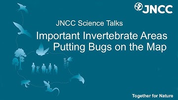 JNCC Science Talks: Important Invertebrate Areas - Putting Bugs on the Map