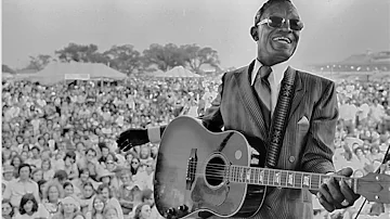 Lightnin Hopkins Take Me Back Live