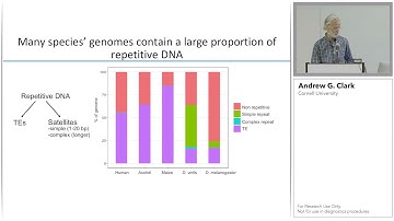 Andrew Clark: Reference-quality Drosophila Genome Assemblies for Evolutionary Analysis