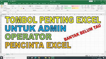 Tombol Penting Untuk Para Admin dan Operator | Belajar Excel