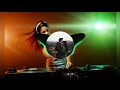 Instagram Famous Song Muthada Chammak Challo Ra One Song Tamil Version Bass Boosted Song Instagram Famous Song Muthada Chammak Challo Ra One Song Tamil Version Bass Boosted Song