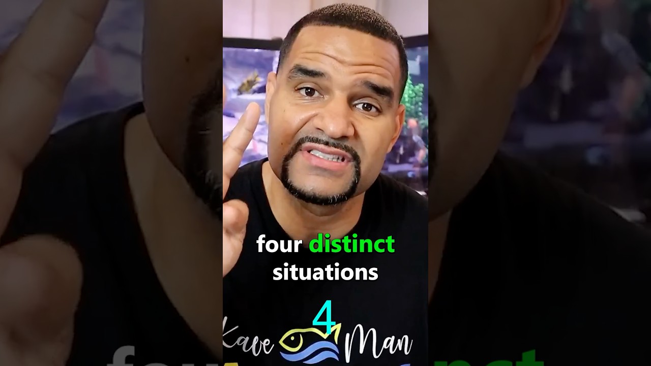 4 Times You Really Need Fish Tank Bacteria