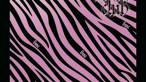 Slayyyter mini tour intro 2019