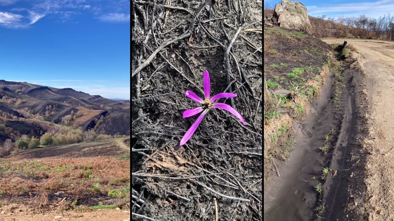 LUME na serra de San Mamede