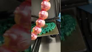 Love Bug meets Long Bug Love Bug meets Long Bug