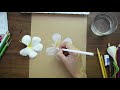 Botanical art : Water coloured pencils timelapse : Frangipani on craft paper.