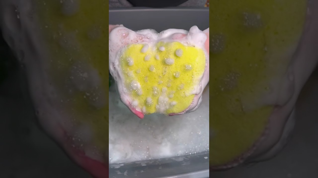 5 minutes of satisfying and relaxing sponge squeezing | Crunchy and sudsy and delicious 