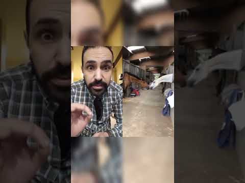 الحب ولع في الدرة ولا إيه هانى فوزى