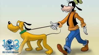 ¿Goofy es un perro o una vaca?