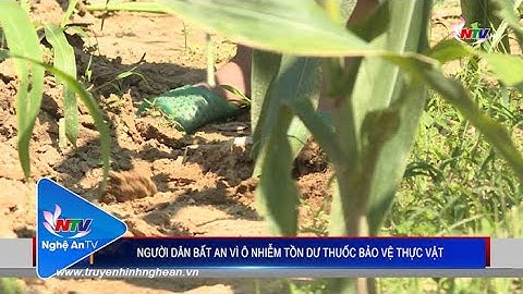 NGƯỜI DÂN BẤT AN VÌ Ô NHIỄM TỒN DƯ THUỐC BẢO VỆ THỰC VẬT